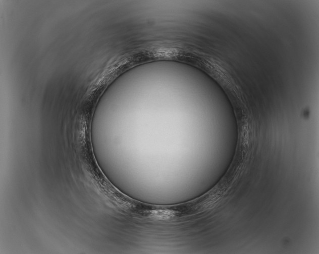 X0000116320363200912151248