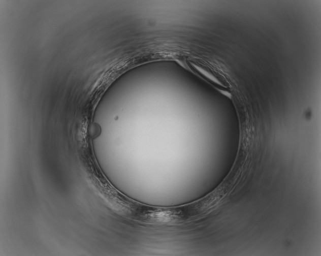 X0000116320365200912151248