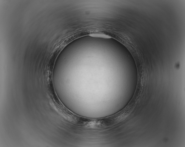 X0000116320366200912151248