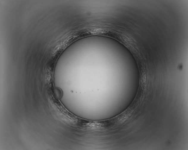 X0000116320367200912151248