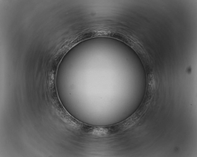 X0000116320369200912151248