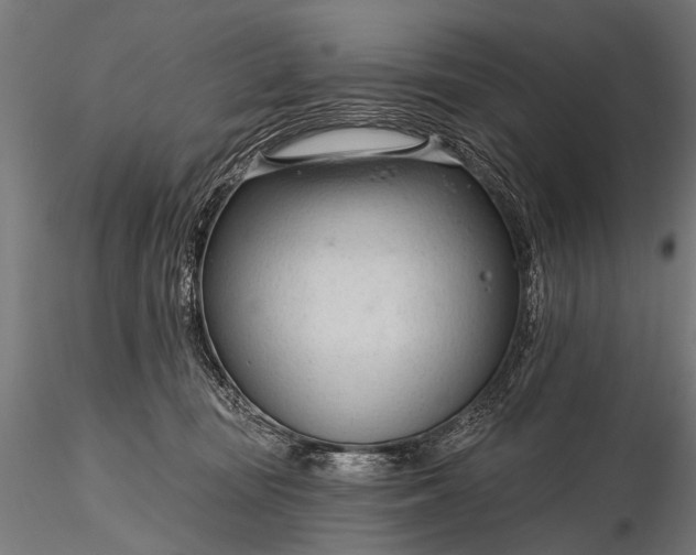 X0000116320371200912151248