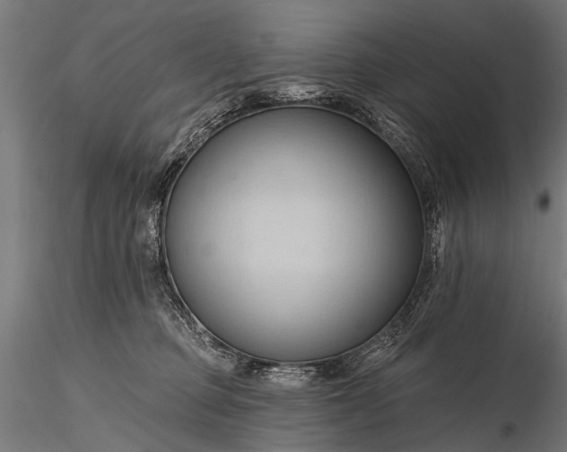 X0000116320373200912151248