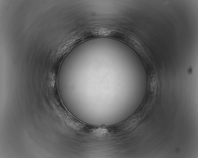 X0000116320374200912151248