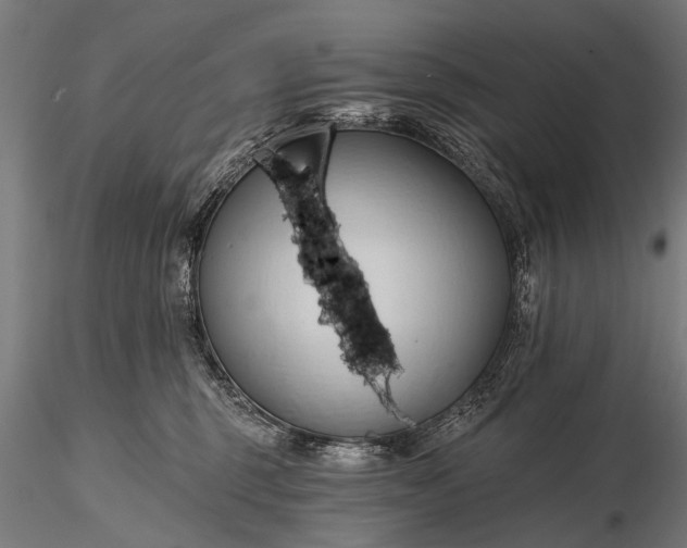 X0000116320375200912151248