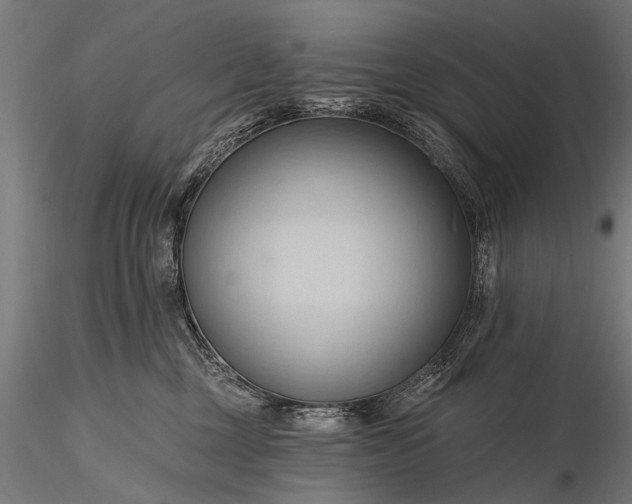 X0000116320377200912151248