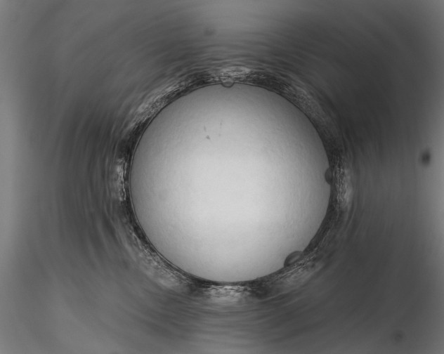 X0000116320378200912151248