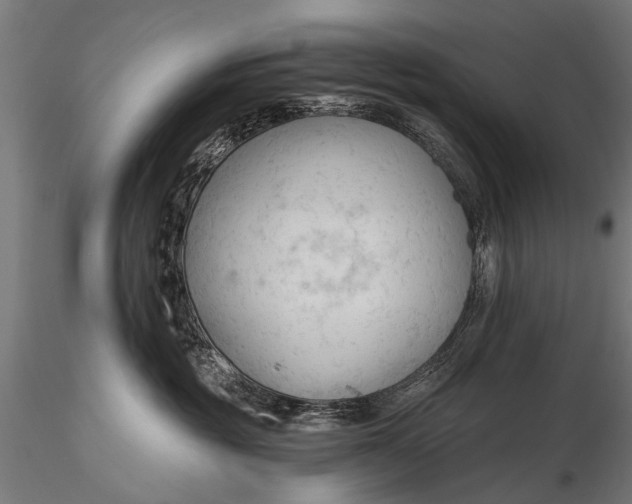 X0000116320381200912151248