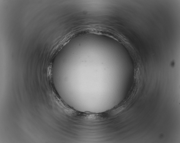 X0000116320382200912151248