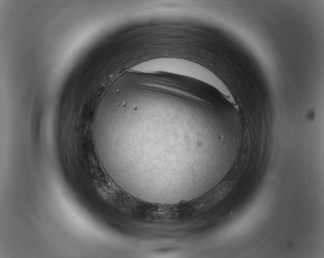 X0000116320383200912151248