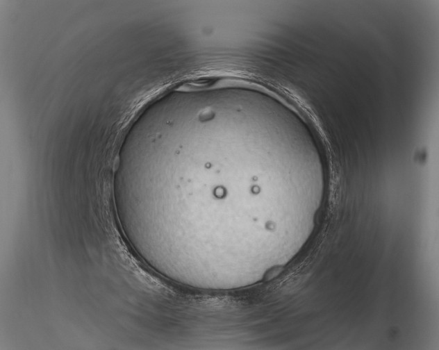 X0000116320385200912151247