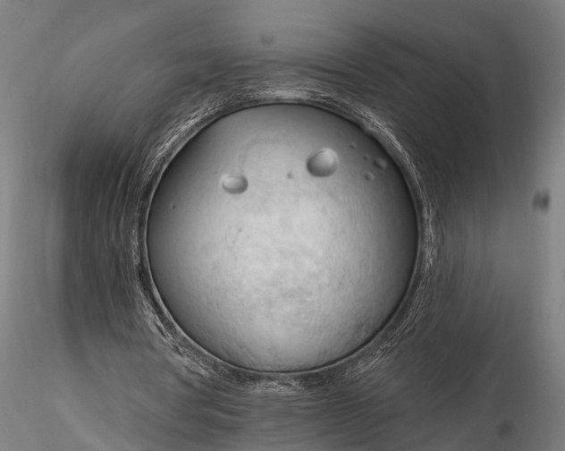 X0000116320386200912151247