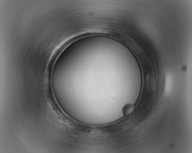 X0000116320388200912151247