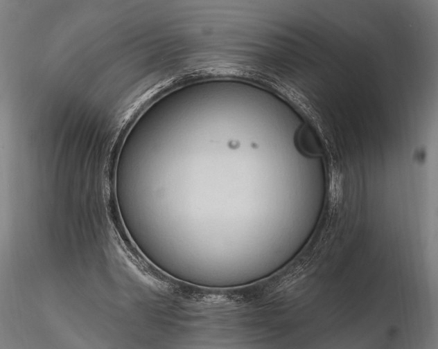 X0000116320390200912151247