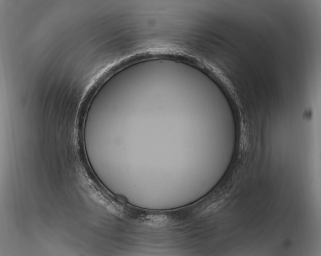 X0000116320391200912151247