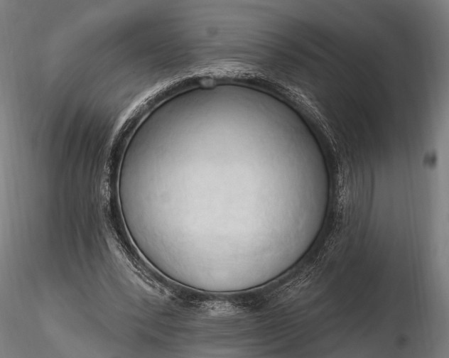 X0000116320392200912151247