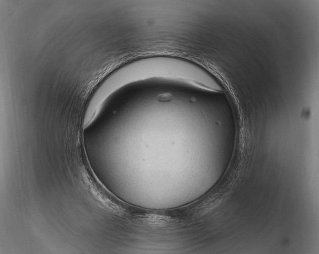 X0000116320393200912151247