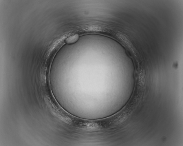 X0000116320395200912151247