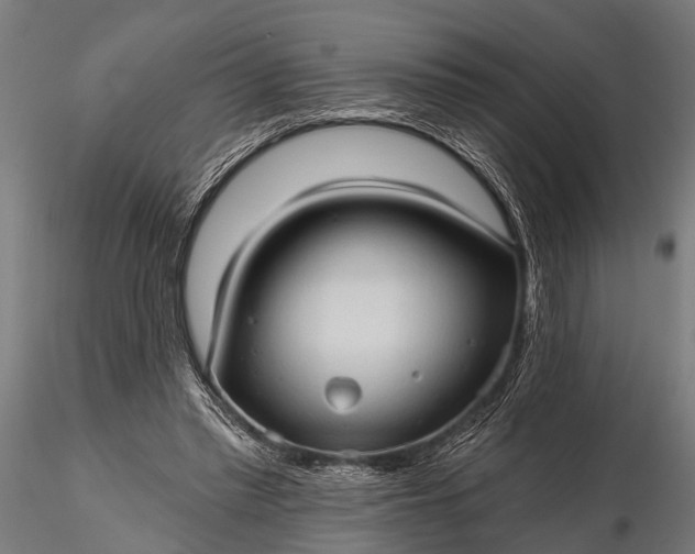 X0000116320397200912151247