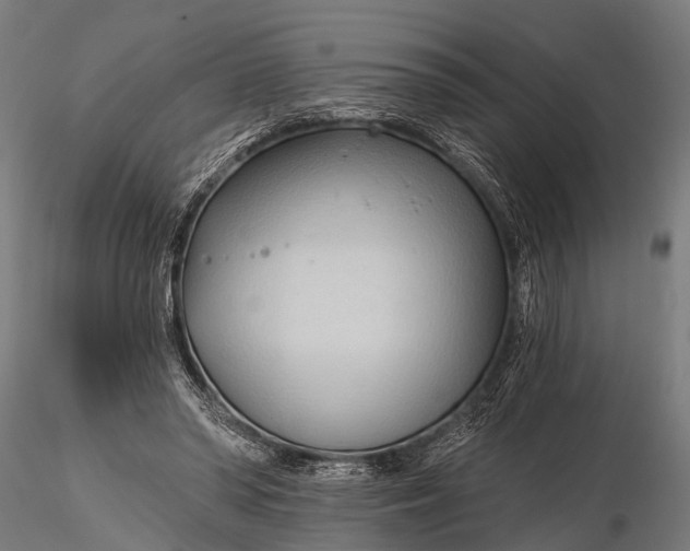 X0000116320398200912151247