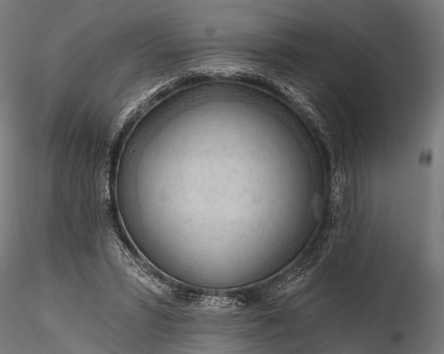 X0000116320399200912151247