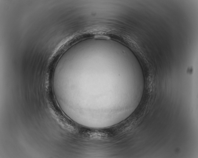 X0000116320400200912151247