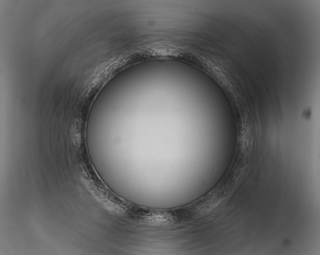 X0000116320402200912151247