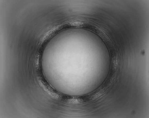 X0000116320404200912151247