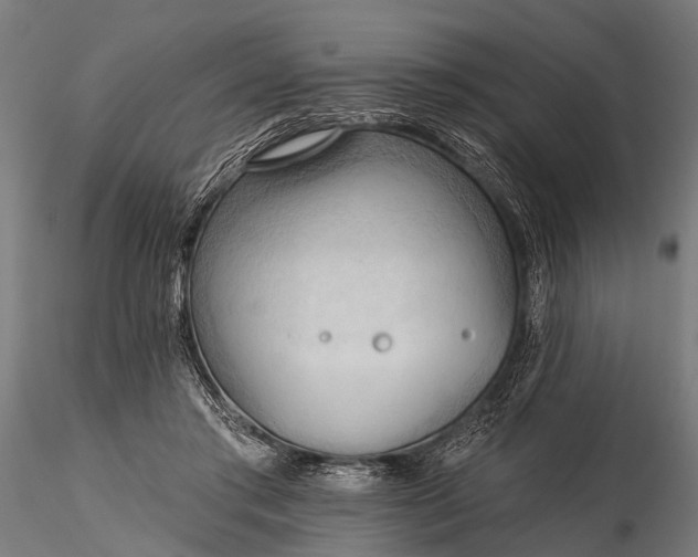 X0000116320405200912151247