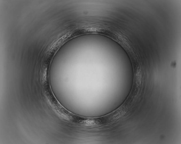 X0000116320406200912151247