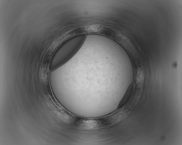 X0000116320409200912151247