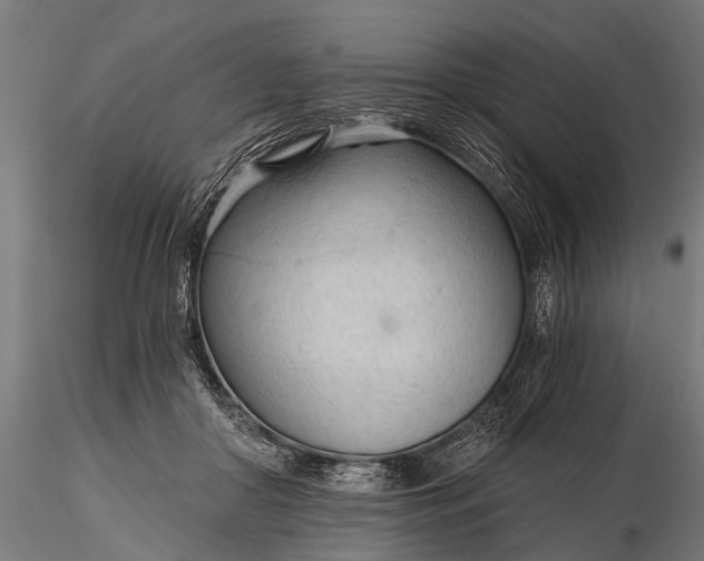 X0000116320410200912151247