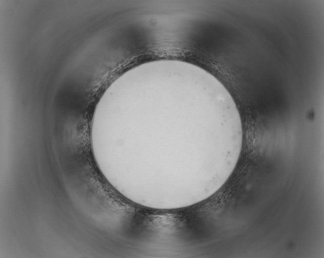 X0000116320411200912151247