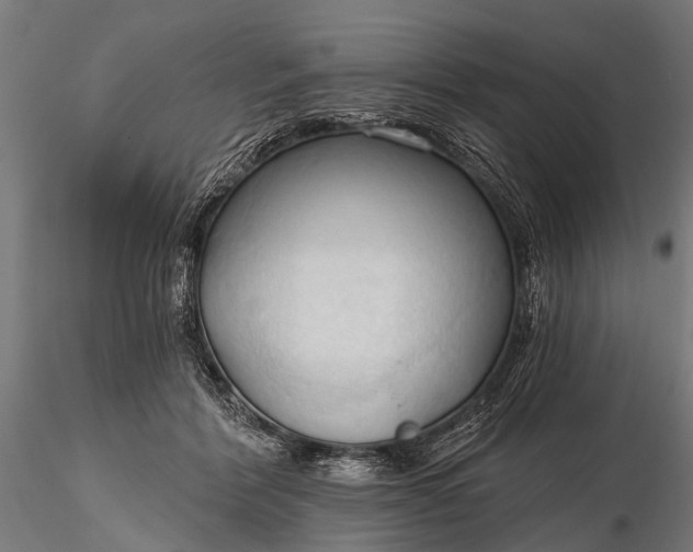 X0000116320412200912151247