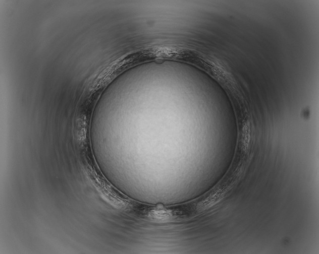 X0000116320413200912151247