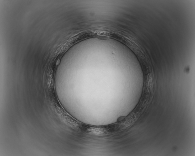 X0000116320417200912151247