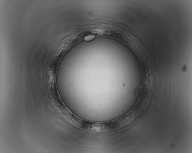 X0000116320420200912151247