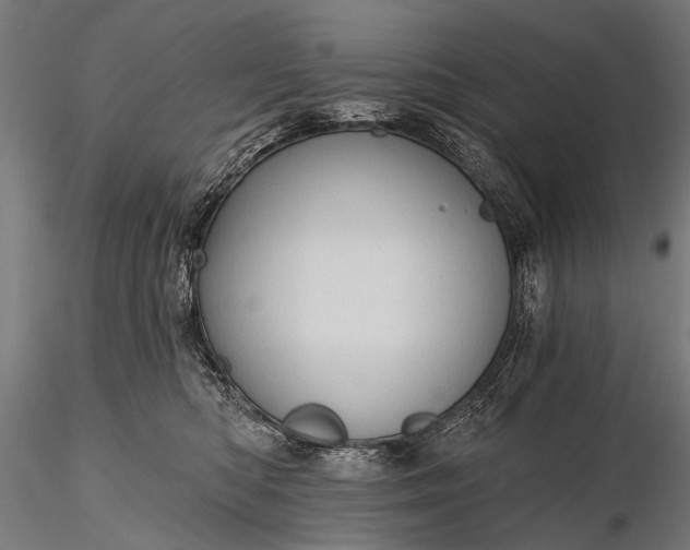 X0000116320422200912151247