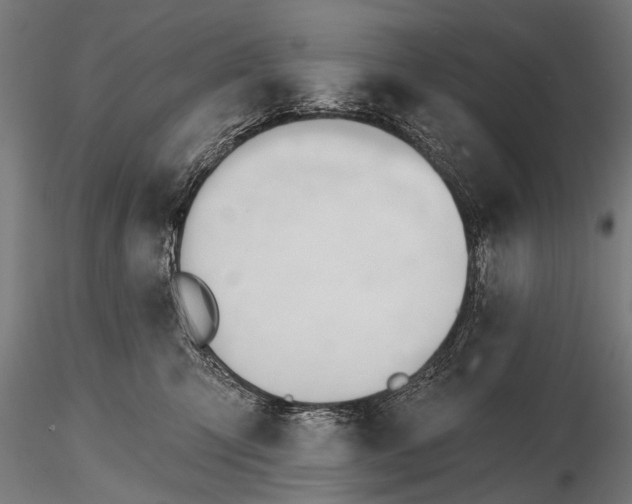 X0000116320423200912151247