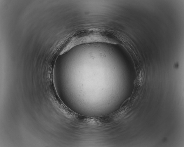 X0000116320424200912151247