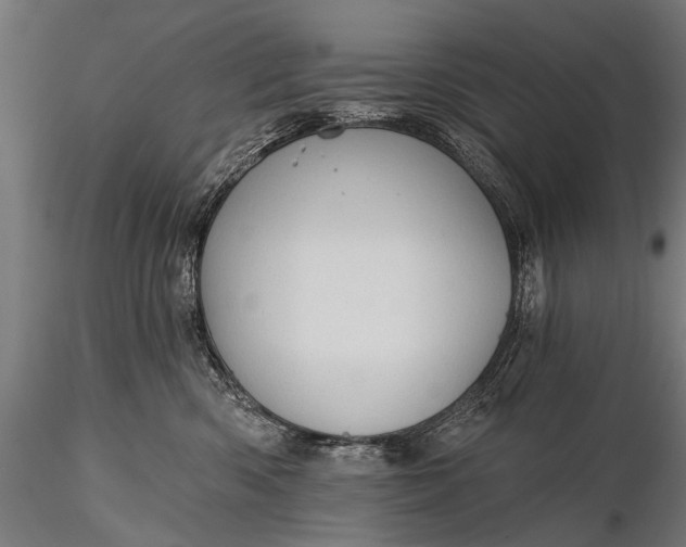 X0000116320426200912151247