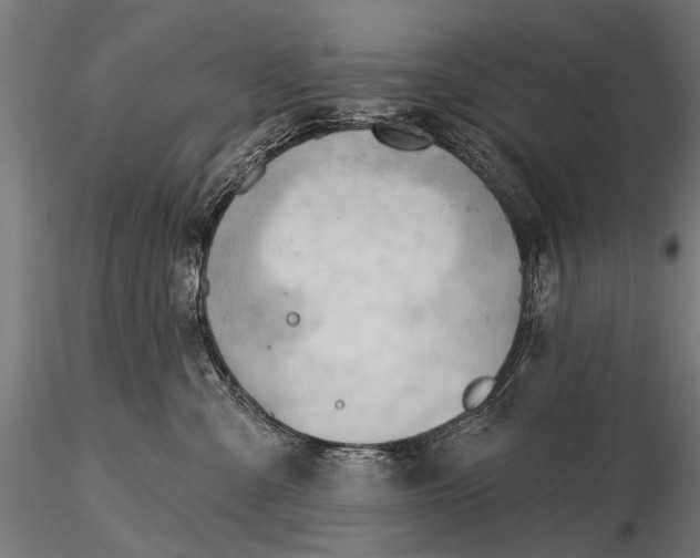 X0000116320427200912151247