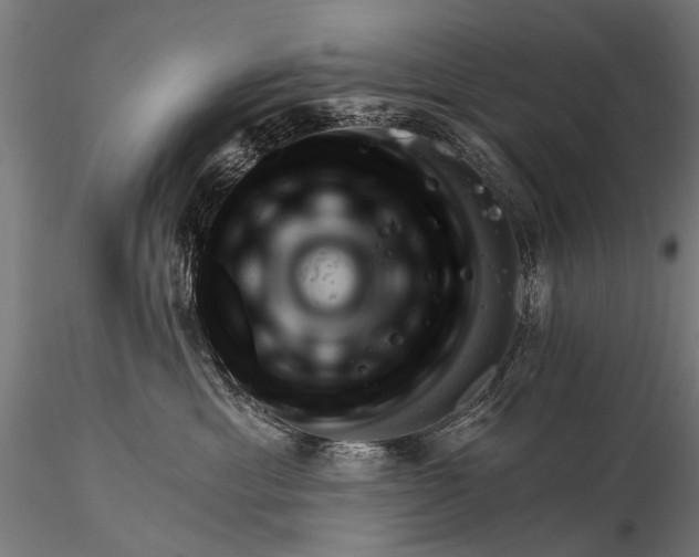 X0000116320429200912151247