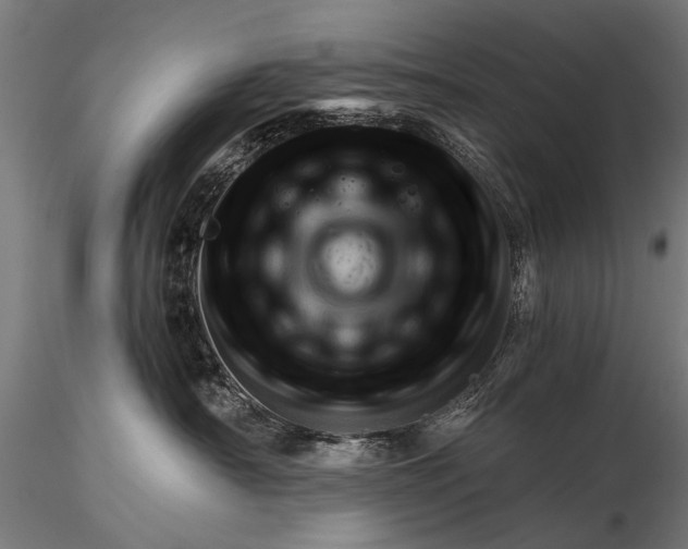 X0000116320430200912151247