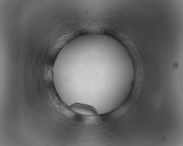 X0000116320432200912151247