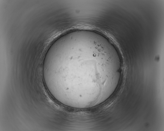 X0000116320433200912151246