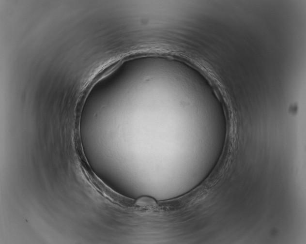 X0000116320434200912151246