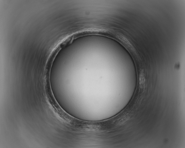 X0000116320436200912151246