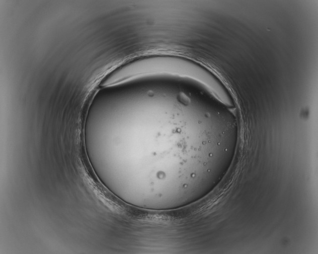 X0000116320437200912151246