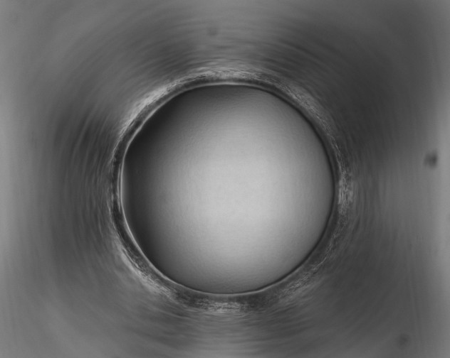 X0000116320438200912151246